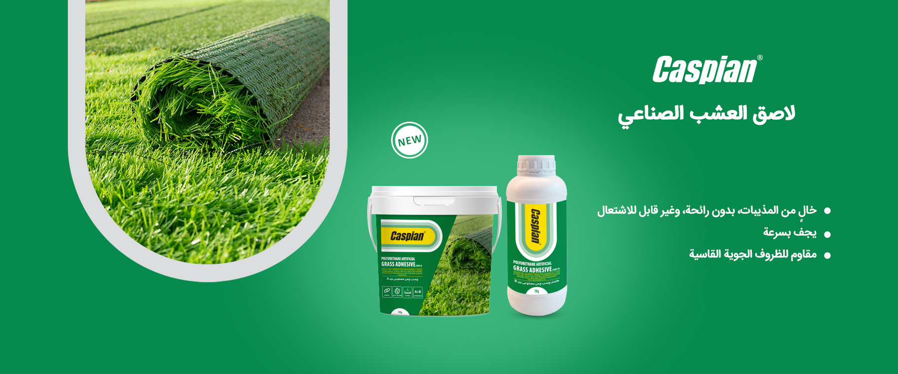Grass