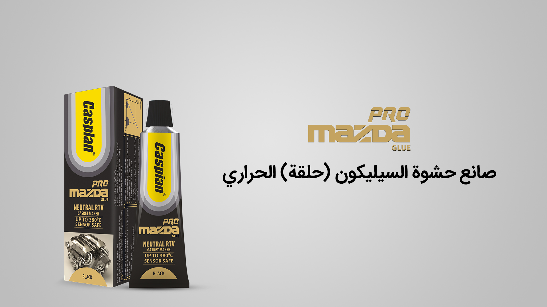 Mazda PRO