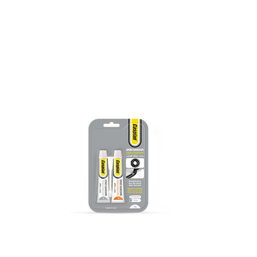 دوقلو طوسی